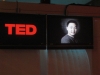 TED Displays